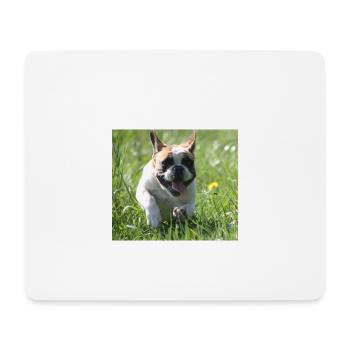 Allez Bully Go Français Bulldog - Tapis de souris (format paysage) - blanc - Devant