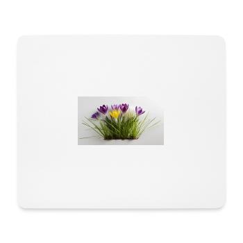 Krokusse - Mousepad (Querformat) - Weiß - Vorne