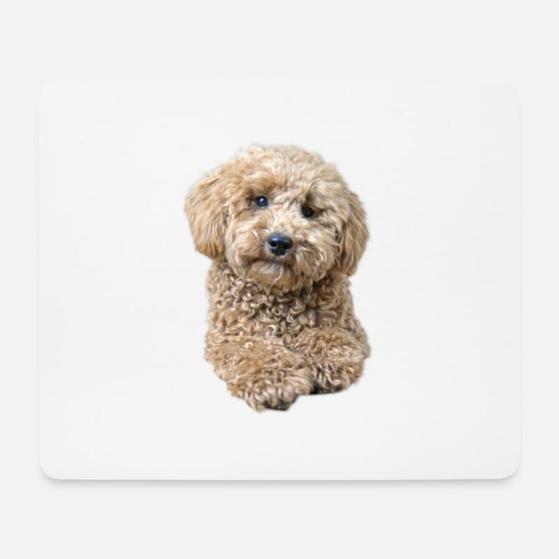 Pudel Pepe - Mousepad (Querformat) - Weiß