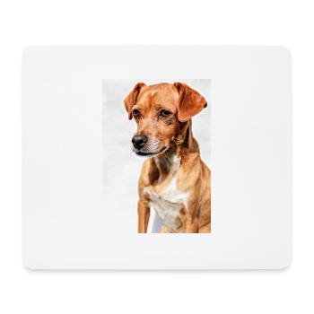 Hunde Portrait Weiß - Mousepad (Querformat) - Weiß - Vorne