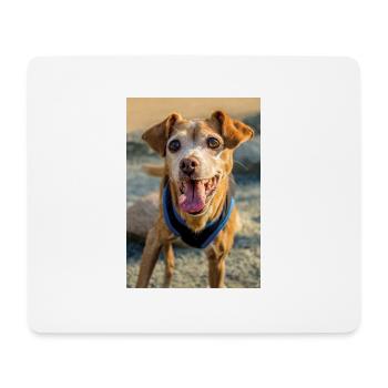 Hunde Portrait im Freiem - Mousepad (Querformat) - Weiß - Vorne