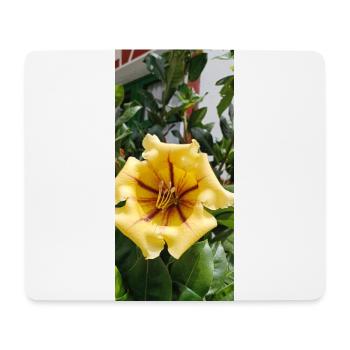 Beautiful yellow flower - Mouse Pad (horizontal) - white - Front