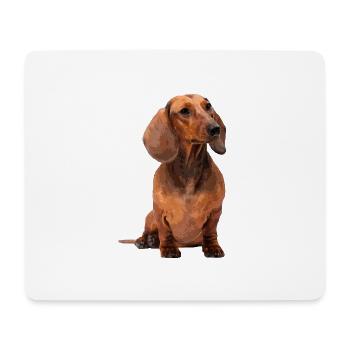 Kurzhaardackel - Mousepad (Querformat) - Weiß - Vorne