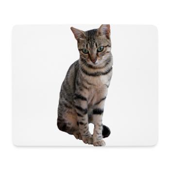 chat, chaton - Tapis de souris (format paysage) - blanc - Devant