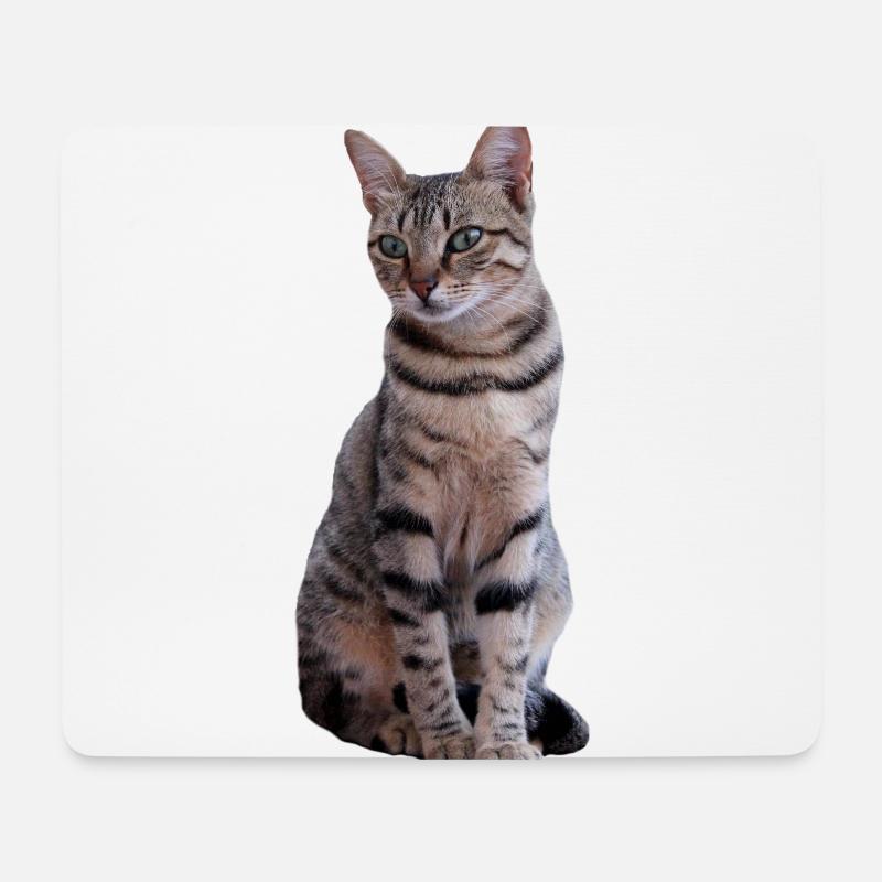 Katze Katzen Süßes Kätzchen Weihnachtsgeschenk - Mousepad (Querformat) - Weiß