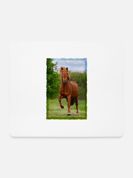 Isländer Pferd läuft im Tölt über Wiese Pferdefoto - Mousepad (Querformat) - Weiß