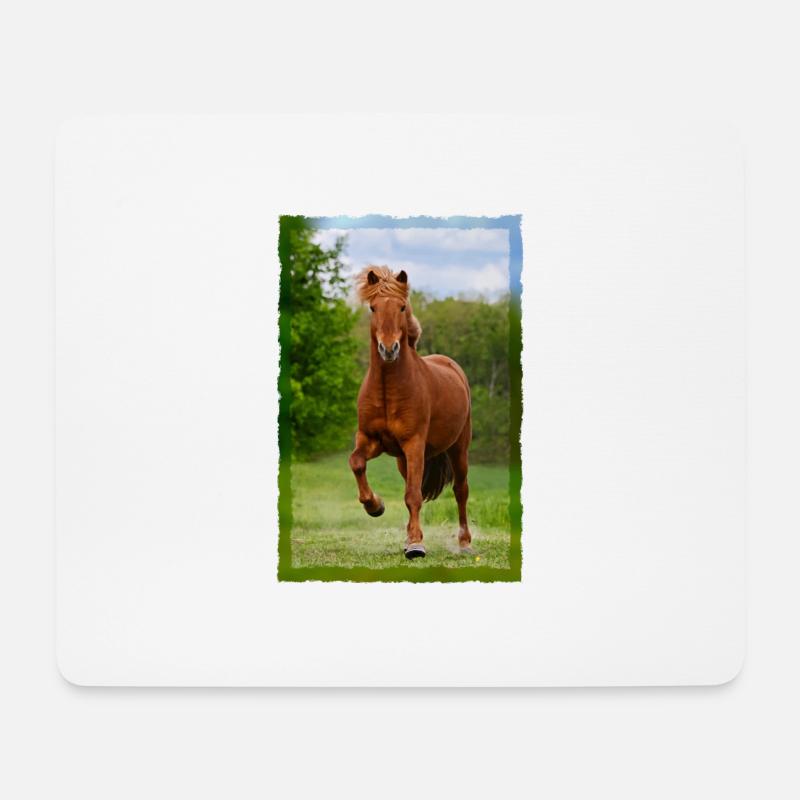 Isländer Pferd läuft im Tölt über Wiese Pferdefoto - Mousepad (Querformat) - Weiß