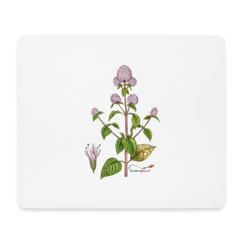 Wasser-Minze - Mousepad (Querformat) - Weiß - Vorne