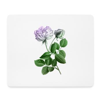 Rose - Mousepad (Querformat) - Weiß - Vorne