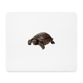 turtle schildkroete tiere animals8 - Mousepad (Querformat) - Weiß - Vorne