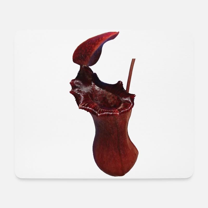 Nepenthes x briggsiana - Mousepad (Querformat) - Weiß