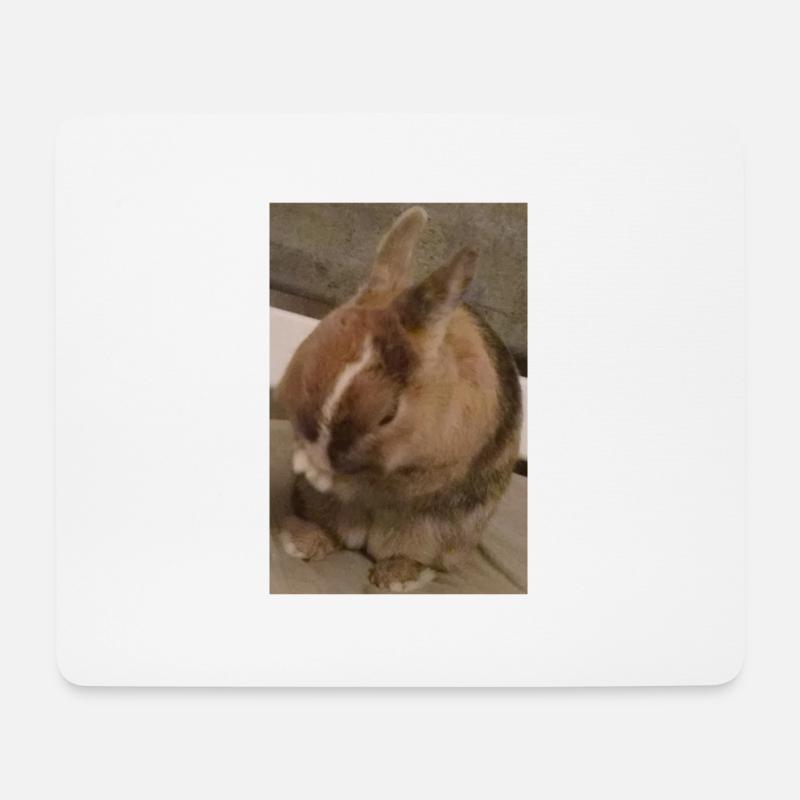 Kaninchen - Mousepad (Querformat) - Weiß