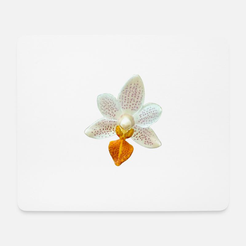 Orchideenblüte Phalaenopsis MiniMark Orchidee - Mousepad (Querformat) - Weiß