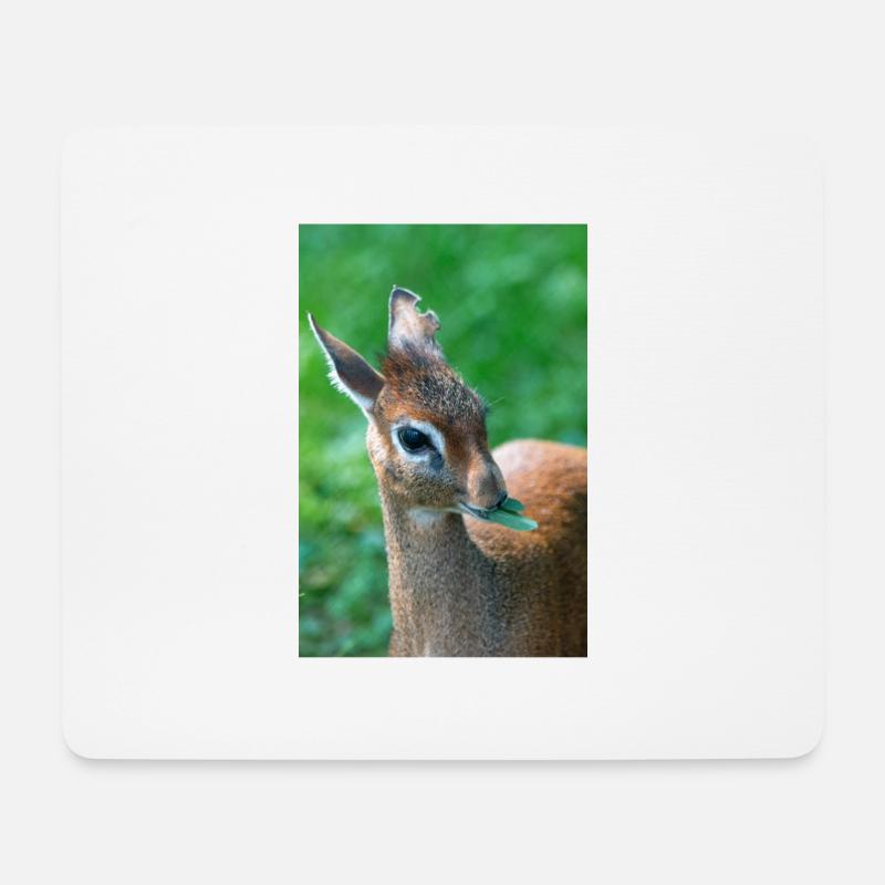 Kirk's dik-dik (auf Deutsch Kirk-Dikdik Zwergrüssel - Mousepad (Querformat) - Weiß