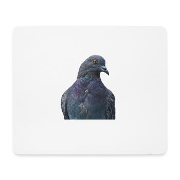dove taube birds voegel poultry gefluegel - Mousepad (Querformat) - Weiß - Vorne