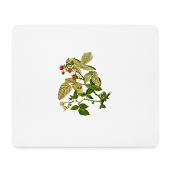 herbes thym romarin persil origan aneth - Tapis de souris (format paysage) - blanc - Devant