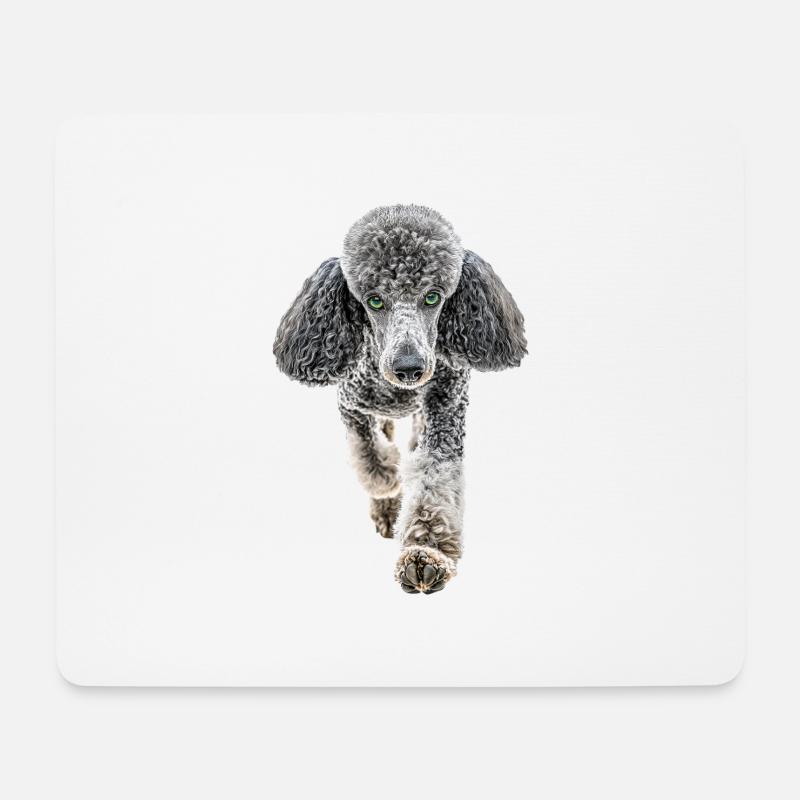 Pudel - Mousepad (Querformat) - Weiß