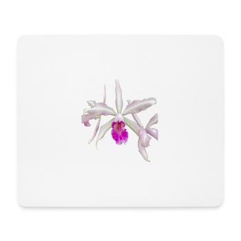 Cattleya Hybride Weiß Pink Blüte Orchideenblüte - Mousepad (Querformat) - Weiß - Vorne