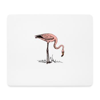 bird Vogel Flamingo Natur Tierwelt - Mousepad (Querformat) - Weiß - Vorne
