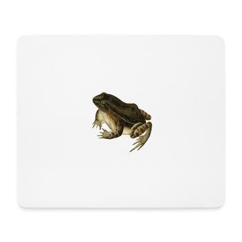 Frosch Kröte Kröte Frosch Illustration Zeichnung Vintage - Mousepad (Querformat) - Weiß - Vorne