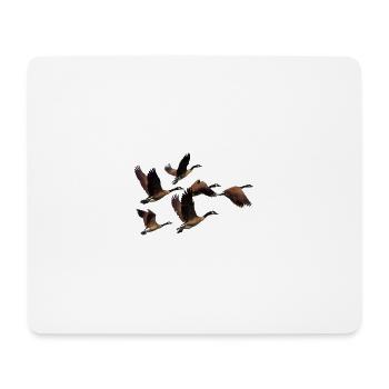 canards - Tapis de souris (format paysage) - blanc - Devant