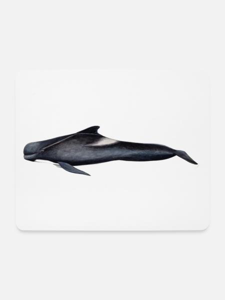 Grindwal - Grindwal - globicéphale noir - Mousepad (Querformat) - Weiß