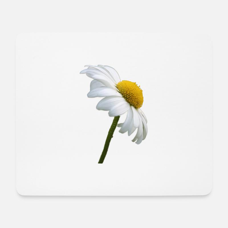 Margerite Gänseblume - Mousepad (Querformat) - Weiß