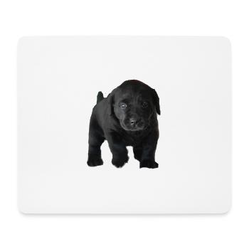 Foto 1618694316942 - Mousepad (Querformat) - Weiß - Vorne