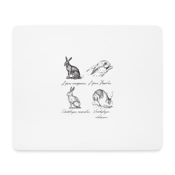 Lapins vintage feldhase hare rabbit - Tapis de souris (format paysage) - blanc - Devant