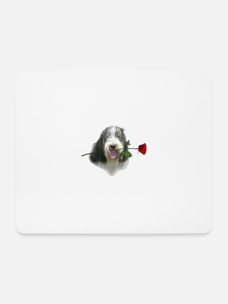 Bearded Collie-Rose - Mousepad (Querformat) - Weiß
