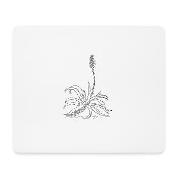 herbes thym romarin persil origan aneth - Tapis de souris (format paysage) - blanc - Devant