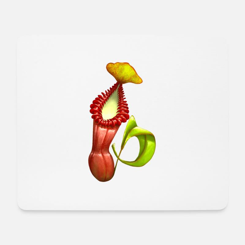 Fleischfressende Pflanzen Kannenpflanze Nepenthes - Mousepad (Querformat) - Weiß