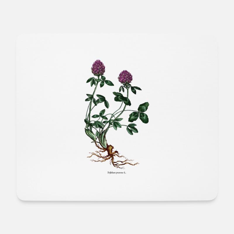 Rotklee - Mousepad (Querformat) - Weiß