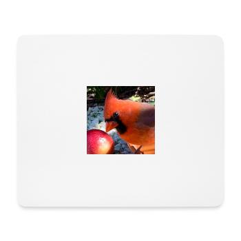 Nördlicher Kardinal - Mousepad (Querformat) - Weiß - Vorne