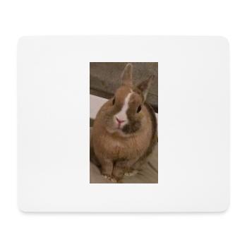 Rabbit - Mouse Pad (horizontal) - white - Front