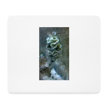 Sea Snail - Mouse Pad (horizontal) - white - Front