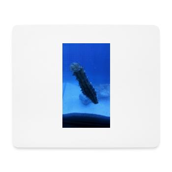See Walze - Mousepad (Querformat) - Weiß - Vorne