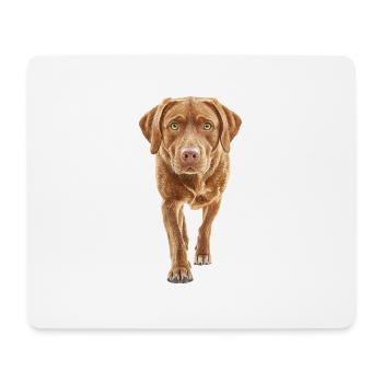 Labrador Retriever - Mousepad (Querformat) - Weiß - Vorne