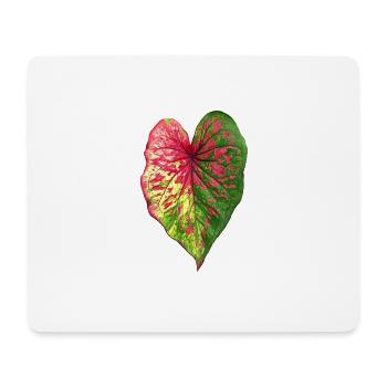 Caladium _ الكلاديوم _ Kaladie - Mousepad (Querformat) - Weiß - Vorne