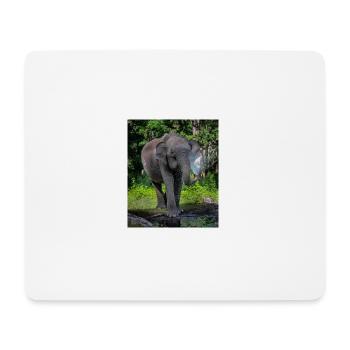Beautiful Elephant - Mouse Pad (horizontal) - white - Front
