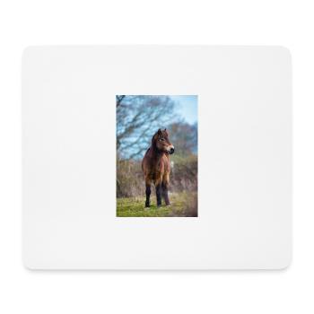 pony exmoor - Mouse Pad (horizontal) - white - Front