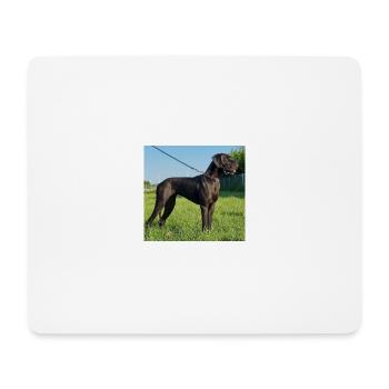 Elite vom Druidenhain - Mousepad (Querformat) - Weiß - Vorne
