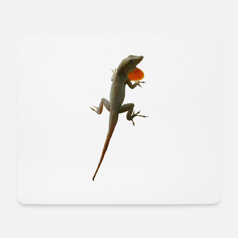 Echsen-Männchen Anolis grahami auf Jamaica - Mousepad (Querformat) - Weiß