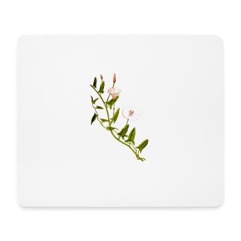 herbes thym romarin persil origan aneth - Tapis de souris (format paysage) - blanc - Devant