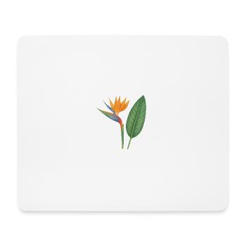 Strelitzie – exotische Blütenpracht - Mousepad (Querformat) - Weiß - Vorne
