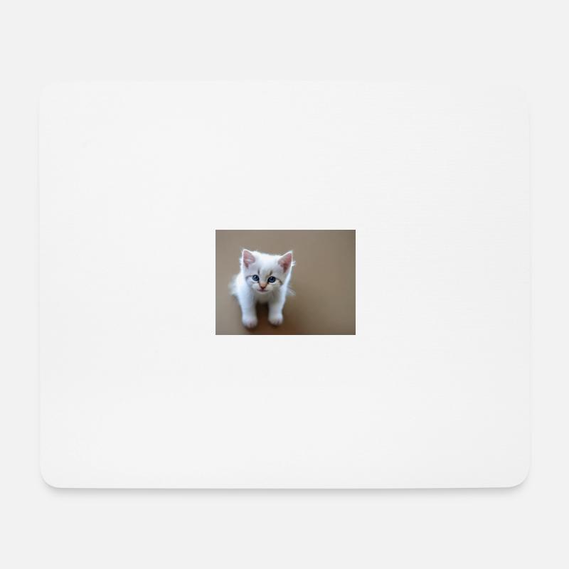 Kätzchen süße blaue Augen - Mousepad (Querformat) - Weiß