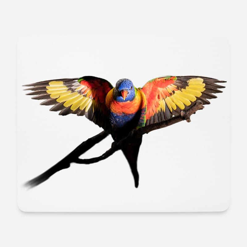 Australischer Regenbogenpapagei vor dem Flug - Mousepad (Querformat) - Weiß