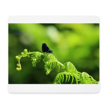 Männlicher Calopteryx auf Adlerfarn - Mousepad (Querformat) - Weiß - Vorne