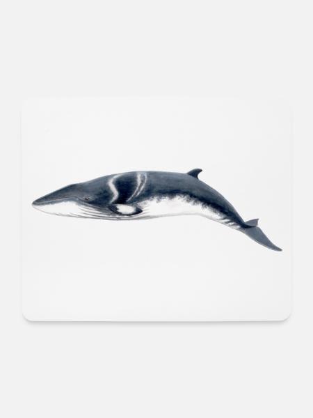 Minke - rorqual Petit - Zwergwal - Mousepad (Querformat) - Weiß