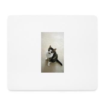 Pretty Kitty - Mouse Pad (horizontal) - white - Front
